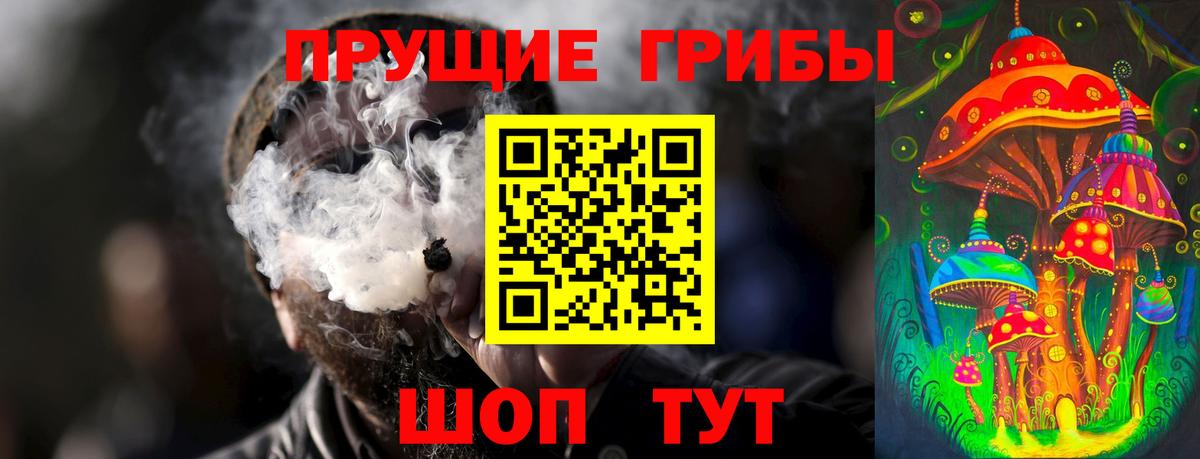 Псилоцибиновые грибы Cubensis Северодвинск