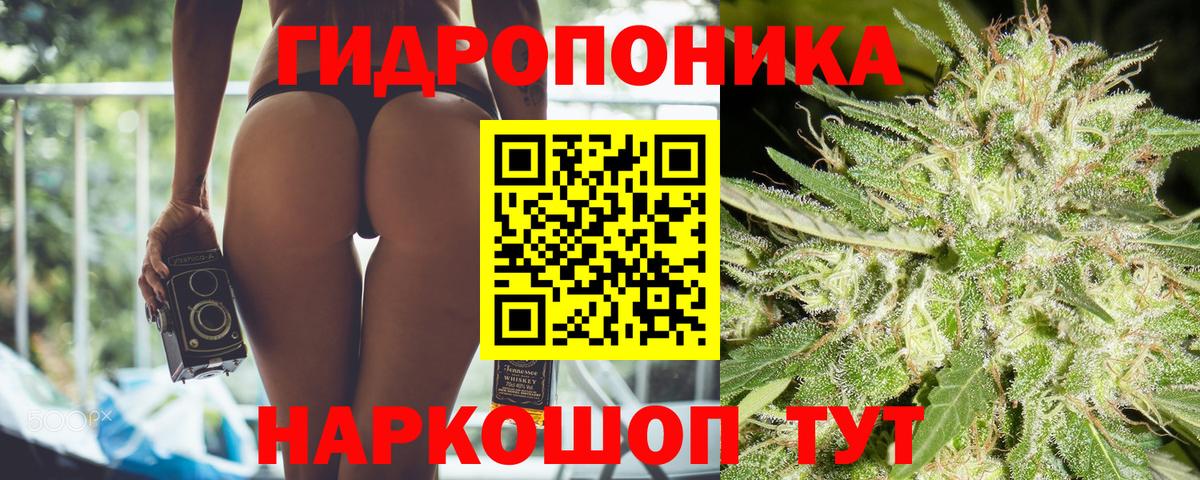 Канабис марихуана Северодвинск